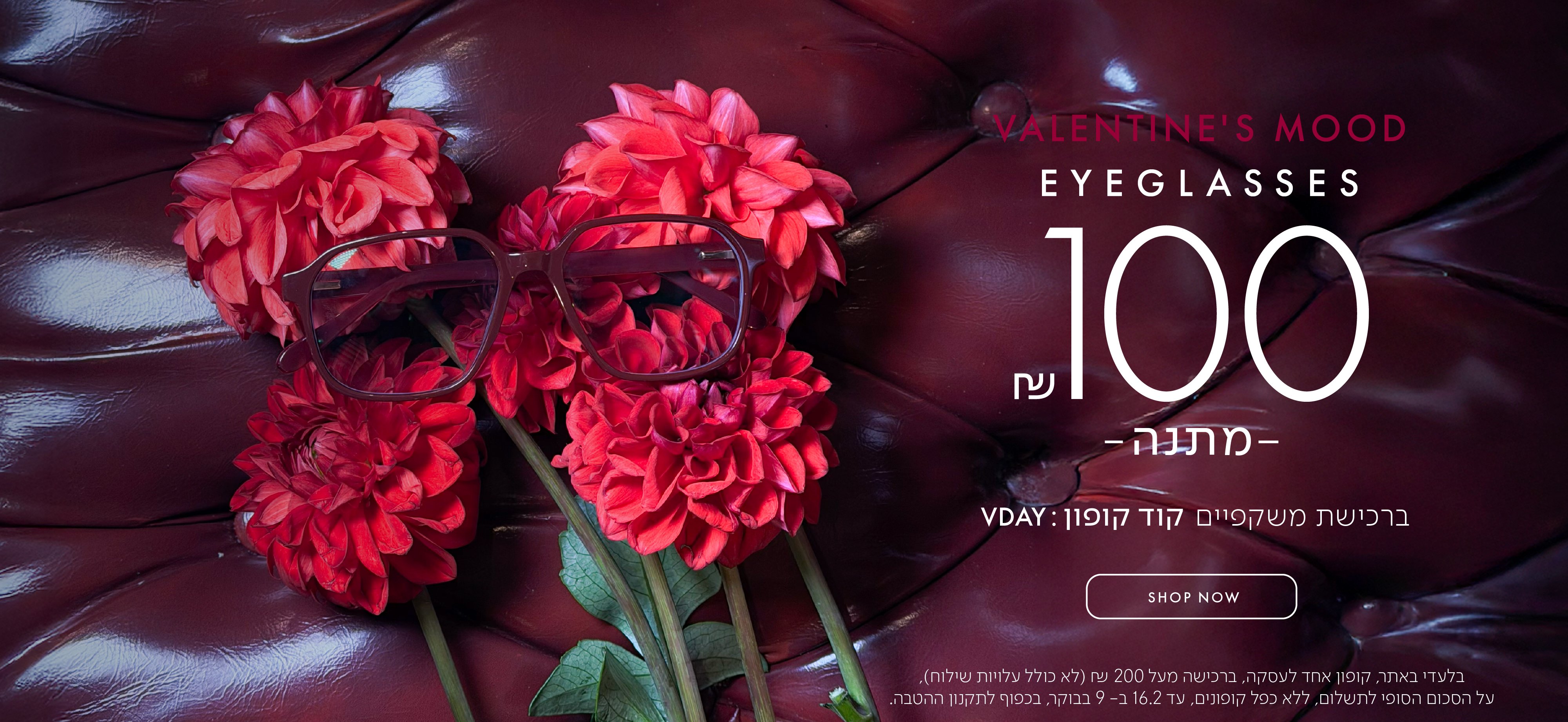 VALENTINE'S MOOD EYEGLASSES 100 ש"ח מתנה ברכישת משקפיים קוד קופון VDAY בכפוף לתקנון