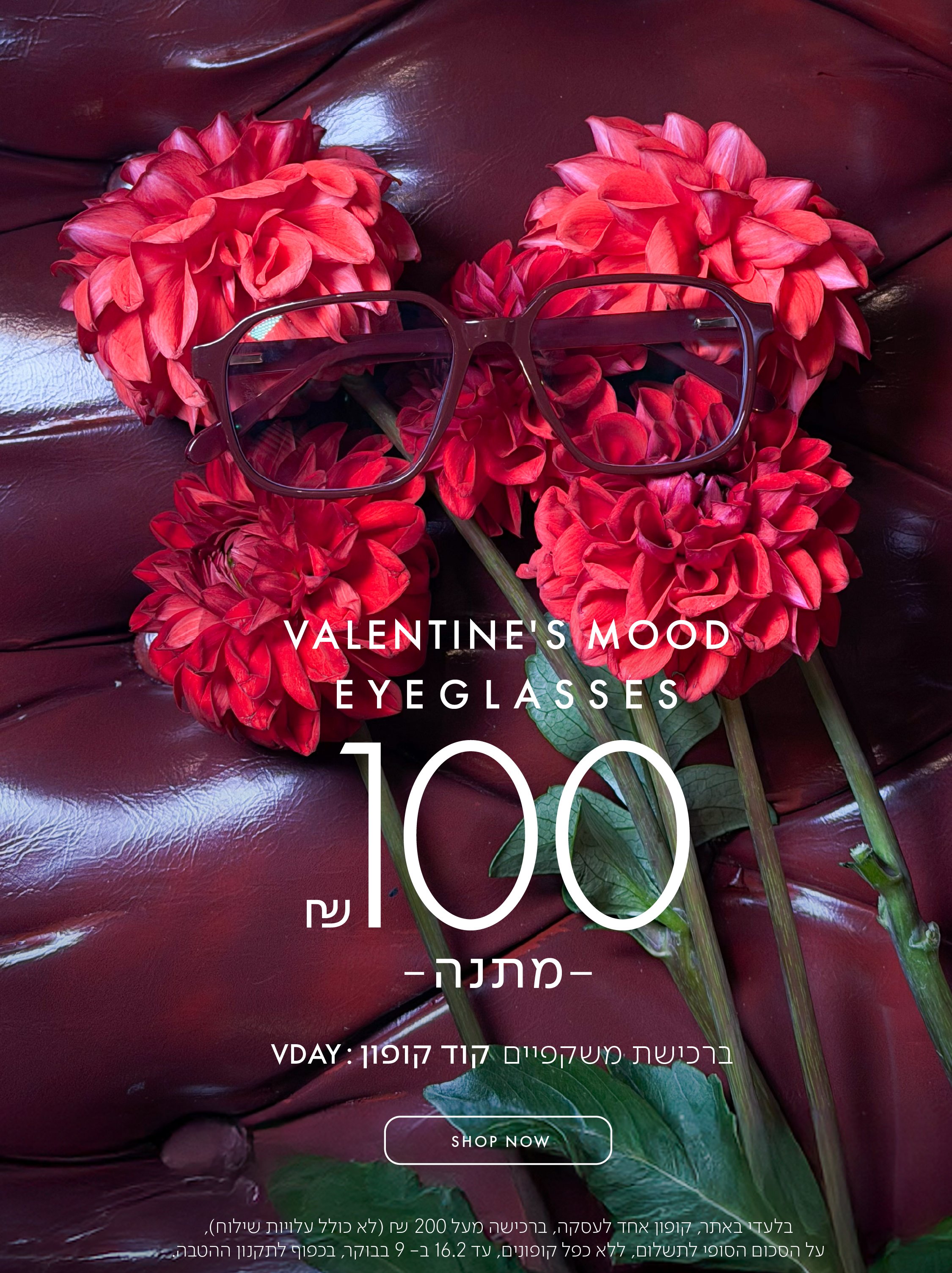 VALENTINE'S MOOD EYEGLASSES 100 ש"ח מתנה ברכישת משקפיים קוד קופון VDAY בכפוף לתקנון