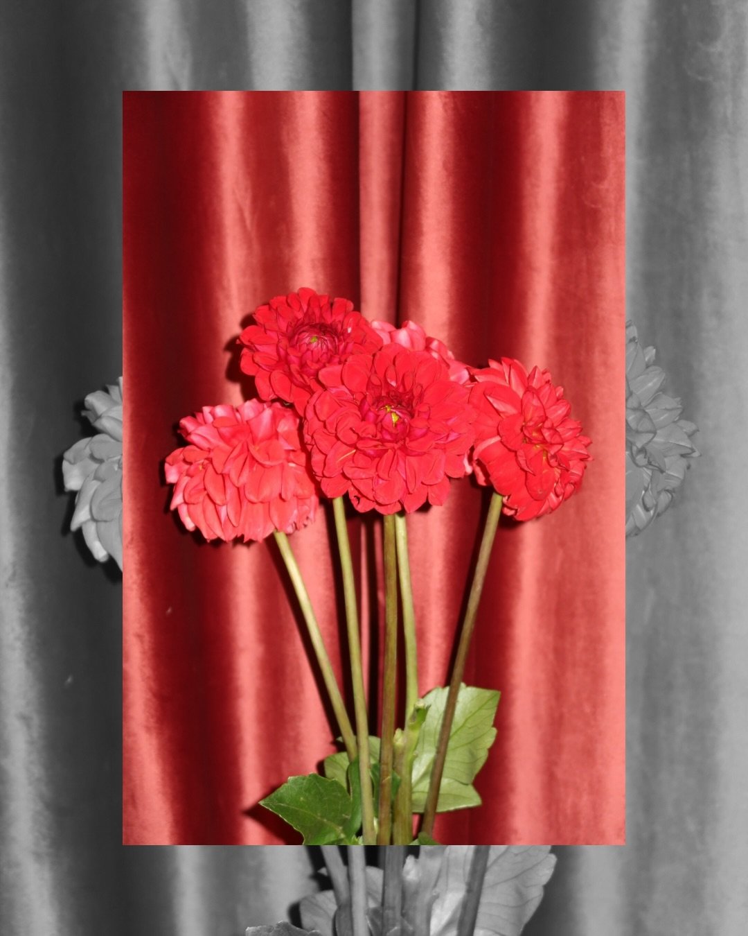 Valentine’s Mood ❤️ Sunglasses | Enjoy a special offer online only 🕶️🎁
#NeverStopChanging * בכפוף לתקנון ההטבה באתר.